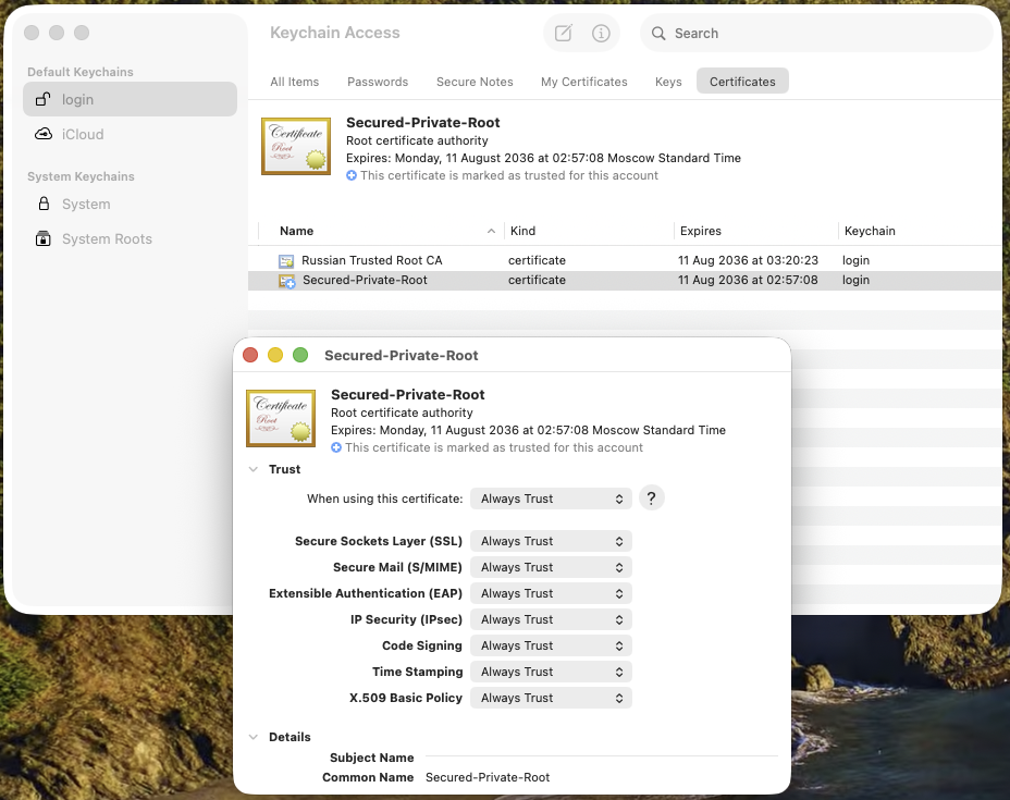 Сертификат добавленый в MacOS